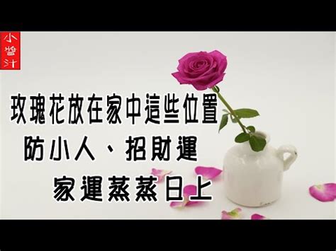 玫瑰風水